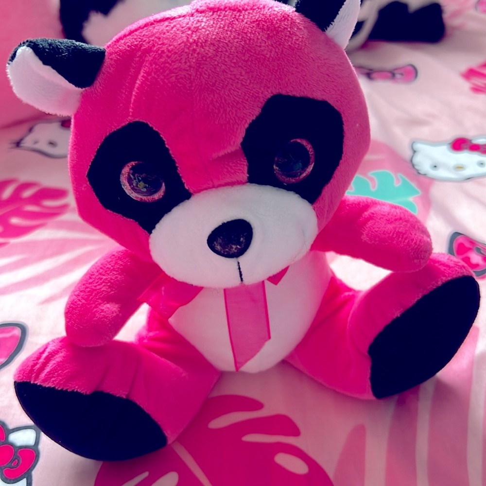 Kids Raccoon Plushy!